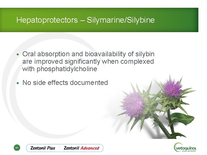 Hepatoprotectors – Silymarine/Silybine • Oral absorption and bioavailability of silybin are improved significantly when