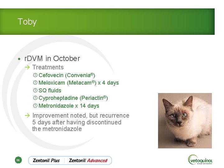 Toby • r. DVM in October à Treatments » Cefovecin (Convenia®) » Meloxicam (Metacam®)