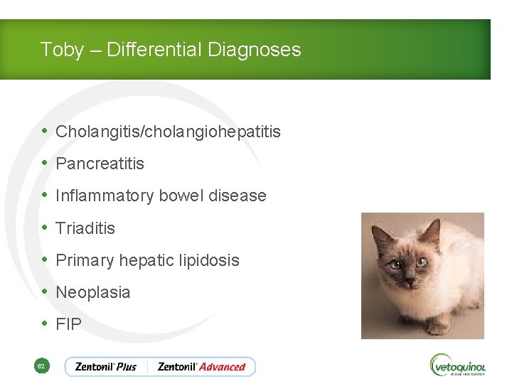 Toby – Differential Diagnoses • Cholangitis/cholangiohepatitis • Pancreatitis • Inflammatory bowel disease • Triaditis