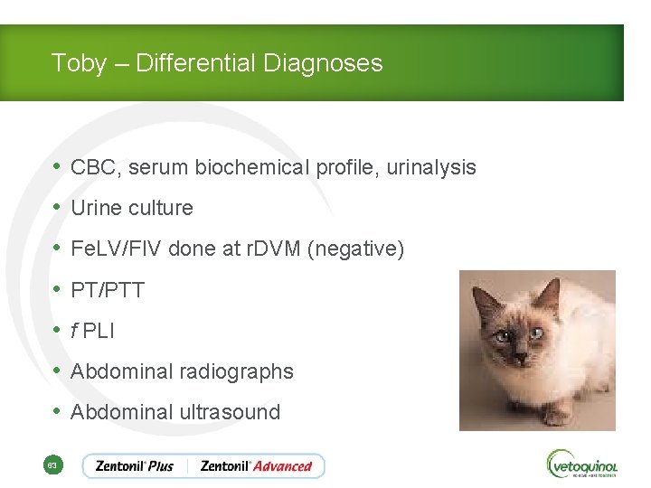 Toby – Differential Diagnoses • CBC, serum biochemical profile, urinalysis • Urine culture •