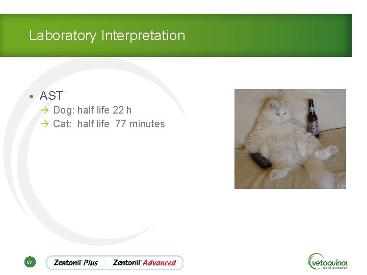 Laboratory Interpretation • AST à Dog: half life 22 h à Cat: half life