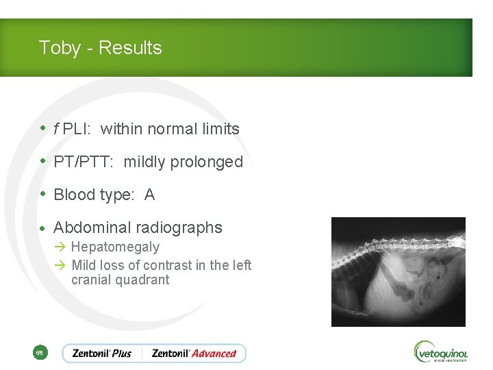 Toby - Results • f PLI: within normal limits • PT/PTT: mildly prolonged •