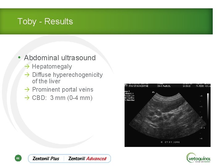 Toby - Results • Abdominal ultrasound à Hepatomegaly à Diffuse hyperechogenicity of the liver