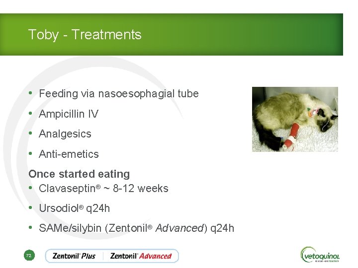 Toby - Treatments • Feeding via nasoesophagial tube • Ampicillin IV • Analgesics •
