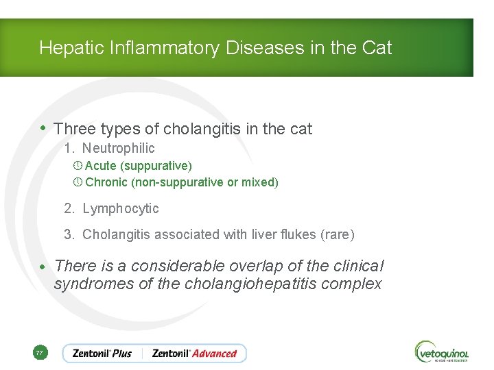 Hepatic Inflammatory Diseases in the Cat • Three types of cholangitis in the cat