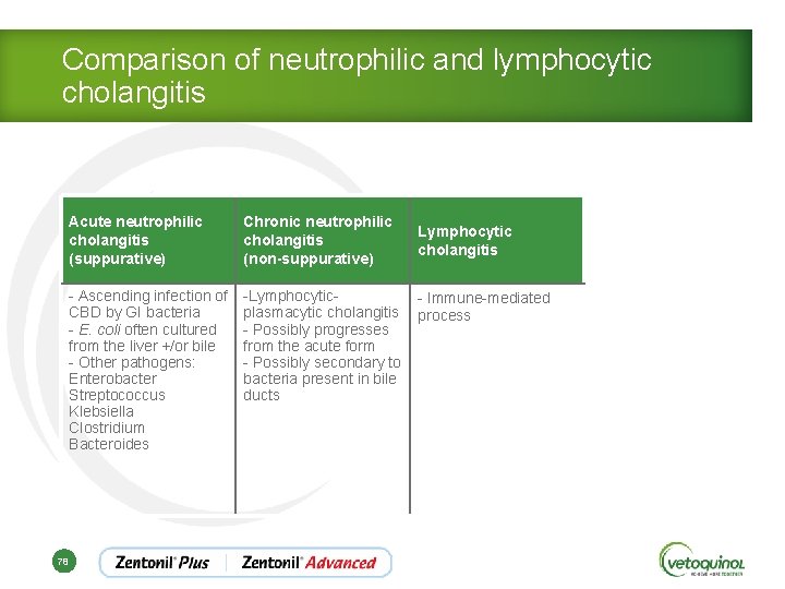 Comparison of neutrophilic and lymphocytic cholangitis Acute neutrophilic cholangitis (suppurative) Chronic neutrophilic cholangitis (non-suppurative)