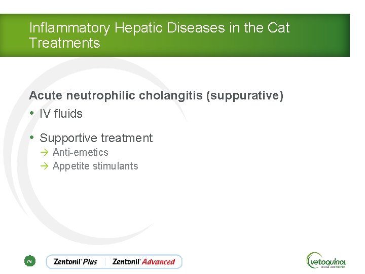 Inflammatory Hepatic Diseases in the Cat Treatments Acute neutrophilic cholangitis (suppurative) • IV fluids