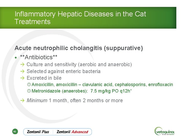 Inflammatory Hepatic Diseases in the Cat Treatments Acute neutrophilic cholangitis (suppurative) • **Antibiotics** à