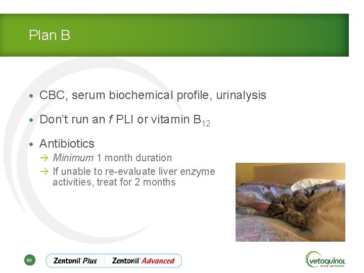 Plan B • CBC, serum biochemical profile, urinalysis • Don’t run an f PLI