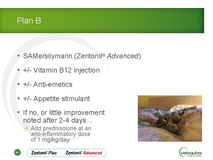 Plan B • SAMe/silymarin (Zentonil® Advanced) • +/- Vitamin B 12 injection • +/-