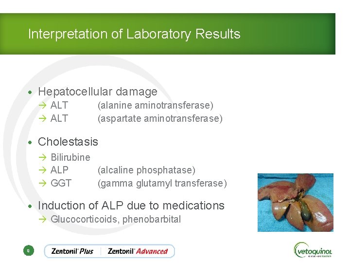 Interpretation of Laboratory Results • Hepatocellular damage à ALT (alanine aminotransferase) à ALT (aspartate