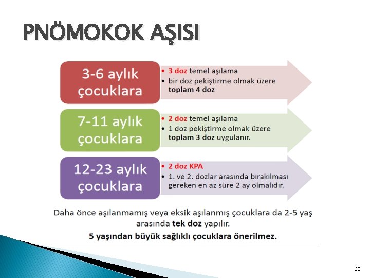 PNÖMOKOK AŞISI 29 