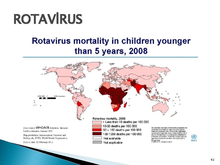 ROTAVİRUS 42 