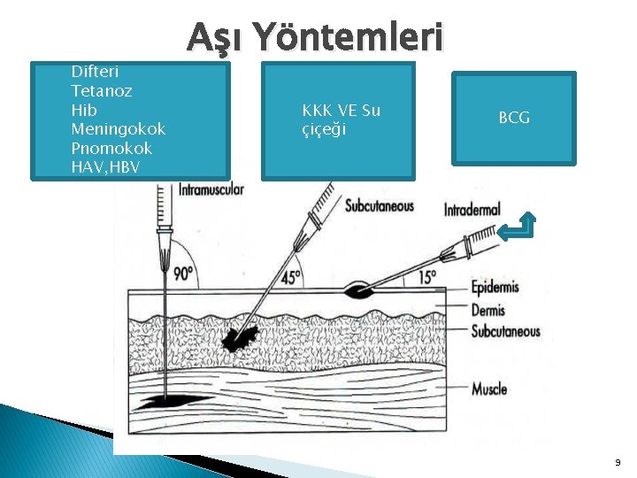 Difteri Tetanoz Hib Meningokok Pnomokok HAV, HBV Aşı Yöntemleri KKK VE Su çiçeği BCG