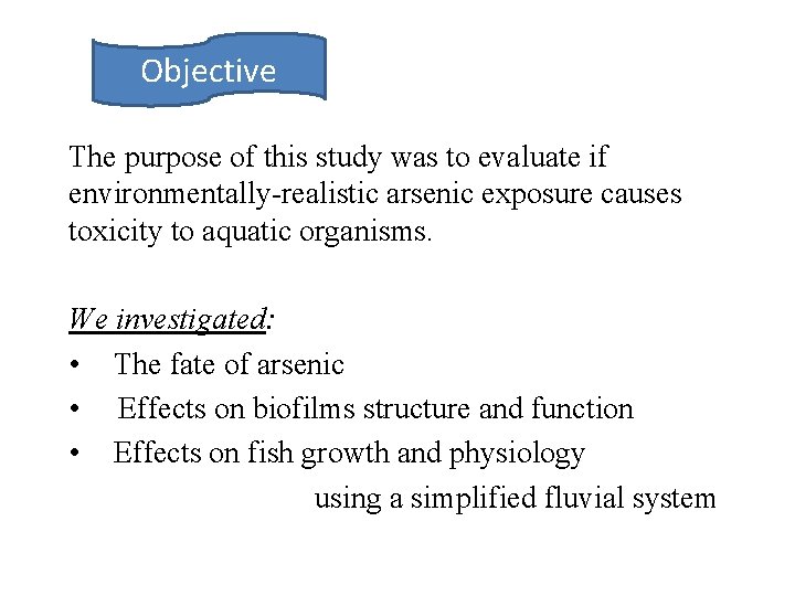 Objective The purpose of this study was to evaluate if environmentally-realistic arsenic exposure causes