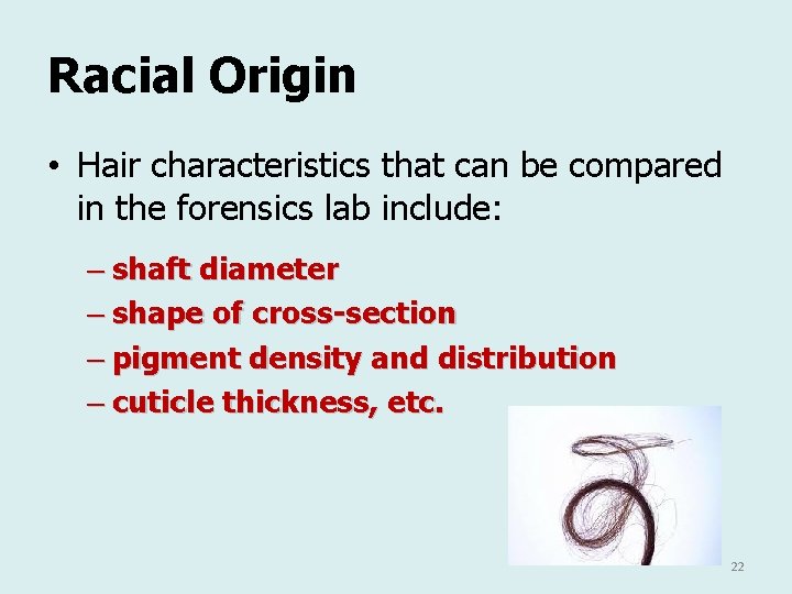 Racial Origin • Hair characteristics that can be compared in the forensics lab include: Racial Origin • Hair characteristics that can be compared in the forensics lab include: