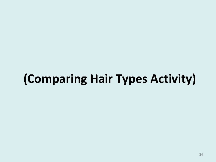 (Comparing Hair Types Activity) 34 