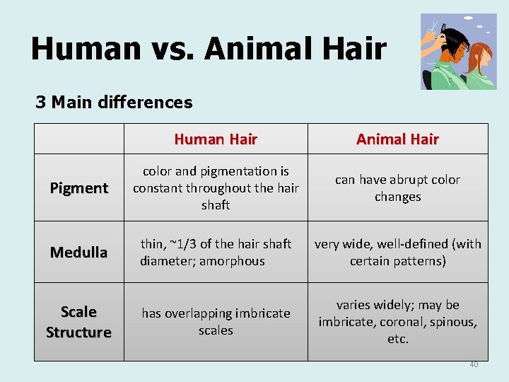Human vs. Animal Hair 3 Main differences Human Hair Animal Hair Pigment color and