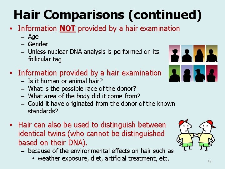 Hair Comparisons (continued) • Information NOT provided by a hair examination – Age – Hair Comparisons (continued) • Information NOT provided by a hair examination – Age –