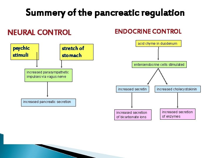 Summery of the pancreatic regulation NEURAL CONTROL psychic stimuli stretch of stomach ENDOCRINE CONTROL Summery of the pancreatic regulation NEURAL CONTROL psychic stimuli stretch of stomach ENDOCRINE CONTROL