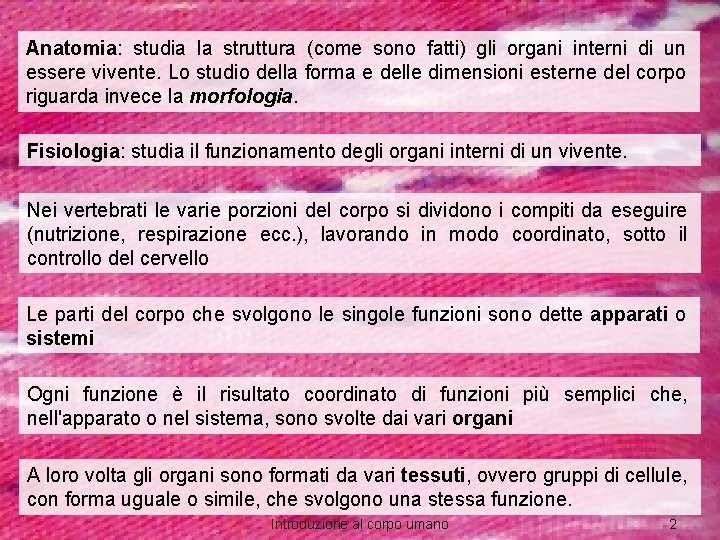 Anatomia: studia la struttura (come sono fatti) gli organi interni di un essere vivente.