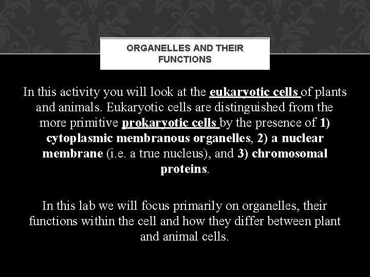 ORGANELLES AND THEIR FUNCTIONS In this activity you will look at the eukaryotic cells