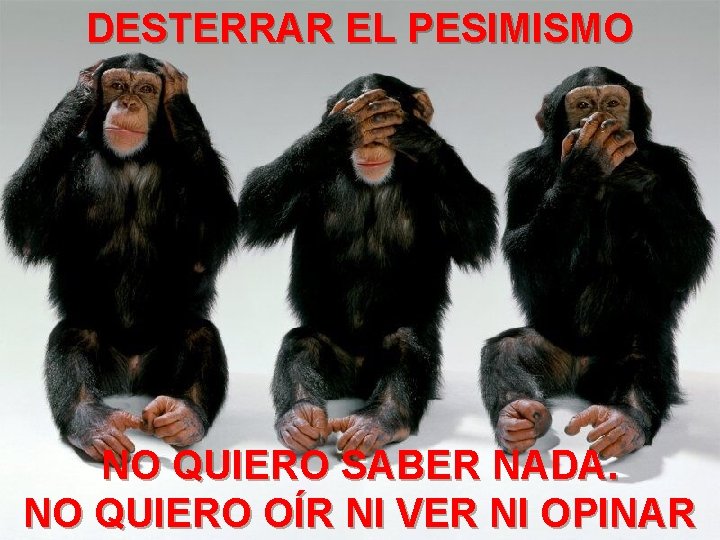 DESTERRAR EL PESIMISMO NO QUIERO SABER NADA. NO QUIERO OÍR NI VER NI OPINAR DESTERRAR EL PESIMISMO NO QUIERO SABER NADA. NO QUIERO OÍR NI VER NI OPINAR