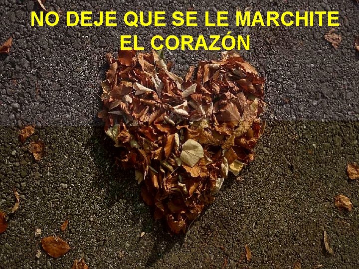 NO DEJE QUE SE LE MARCHITE EL CORAZÓN NO DEJE QUE SE LE MARCHITE EL CORAZÓN