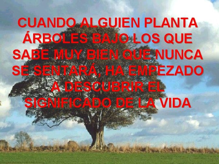 CUANDO ALGUIEN PLANTA ÁRBOLES BAJO LOS QUE SABE MUY BIEN QUE NUNCA SE SENTARÁ, CUANDO ALGUIEN PLANTA ÁRBOLES BAJO LOS QUE SABE MUY BIEN QUE NUNCA SE SENTARÁ,