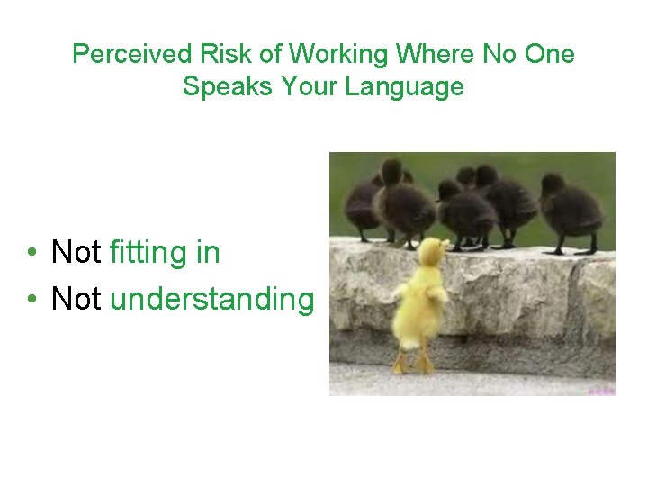 Perceived Risk of Working Where No One Speaks Your Language • Not fitting in
