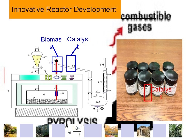 Innovative Reactor Development Biomas Catalys t 
