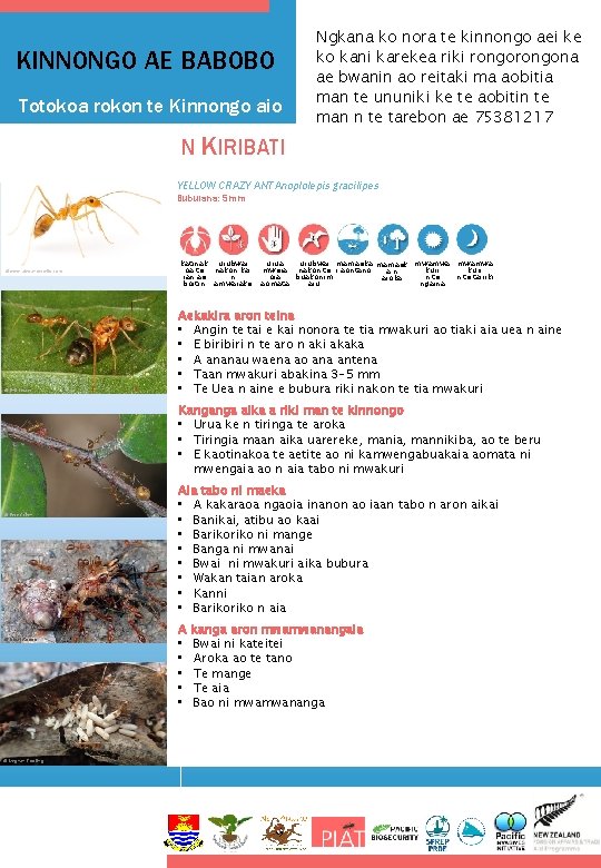 KINNONGO AE BABOBO Totokoa rokon te Kinnongo aio Ngkana ko nora te kinnongo aei