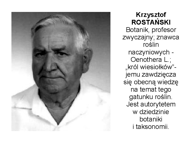 Krzysztof ROSTAŃSKI Botanik, profesor zwyczajny; znawca roślin naczyniowych Oenothera L. ; „król wiesiołków”jemu zawdzięcza