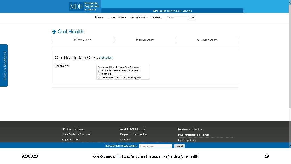 Data query 9/10/2020 © GRS Lamont | https: //apps. health. state. mn. us/mndata/oral-health 19 
