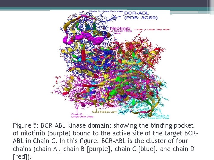 Figure 5: BCR-ABL kinase domain: showing the binding pocket of nilotinib (purple) bound to
