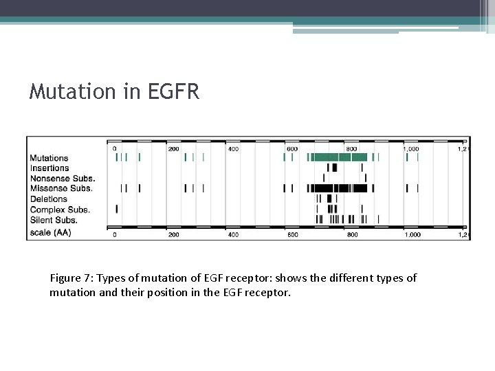 Mutation in EGFR Figure 7: Types of mutation of EGF receptor: shows the different