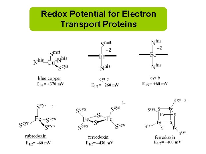 Redox Potential for Electron Transport Proteins 