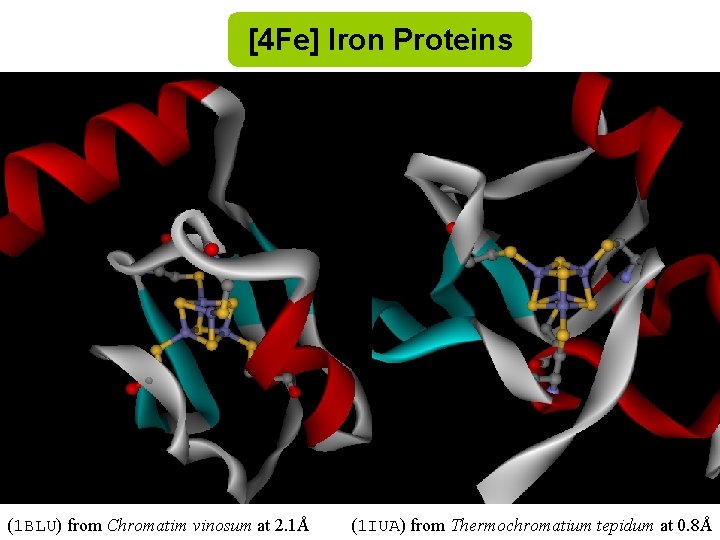 [4 Fe] Iron Proteins (1 BLU) from Chromatim vinosum at 2. 1Å (1 IUA)