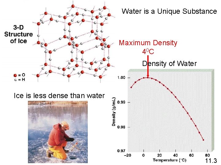 Water is a Unique Substance Maximum Density 4 0 C Density of Water Ice