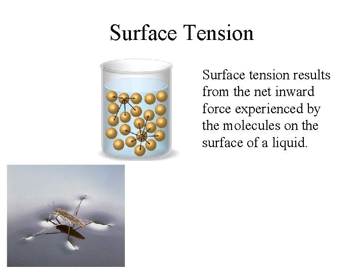 Surface Tension Surface tension results from the net inward force experienced by the molecules