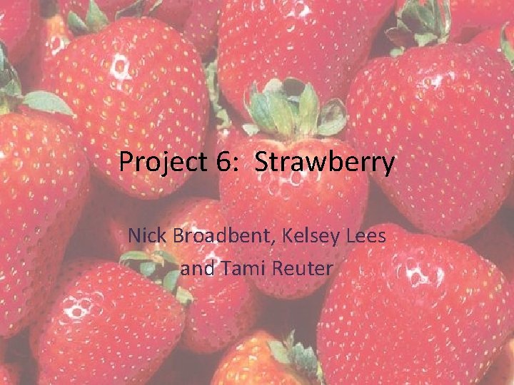 Project 6: Strawberry Nick Broadbent, Kelsey Lees and Tami Reuter 