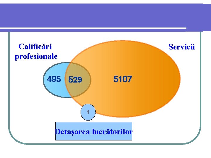 Calificări profesionale Servicii 495 529 5107 1 Detaşarea lucrătorilor 