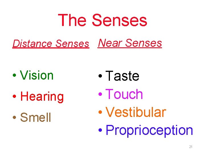The Senses Distance Senses Near Senses • Vision • Hearing • Smell • Taste The Senses Distance Senses Near Senses • Vision • Hearing • Smell • Taste