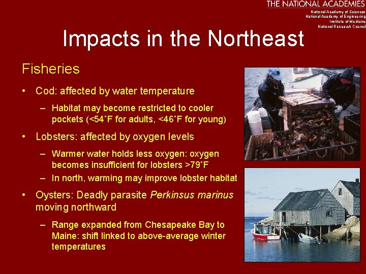 Impacts in the Northeast Fisheries • Cod: affected by water temperature – Habitat may