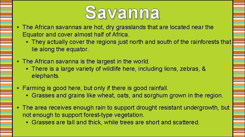 Savanna • The African savannas are hot, dry grasslands that are located near the Savanna • The African savannas are hot, dry grasslands that are located near the