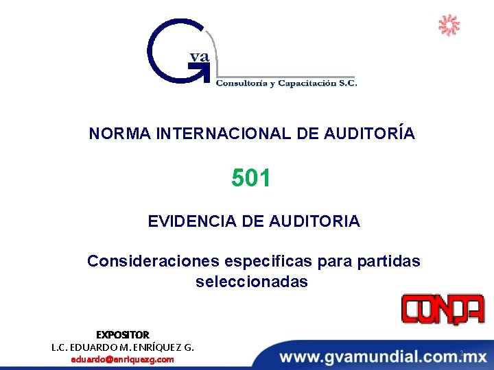 NORMA INTERNACIONAL DE AUDITORÍA 501 EVIDENCIA DE AUDITORIA Consideraciones especificas para partidas seleccionadas EXPOSITOR NORMA INTERNACIONAL DE AUDITORÍA 501 EVIDENCIA DE AUDITORIA Consideraciones especificas para partidas seleccionadas EXPOSITOR