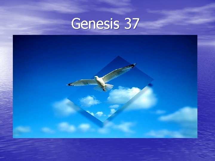 Genesis 37 