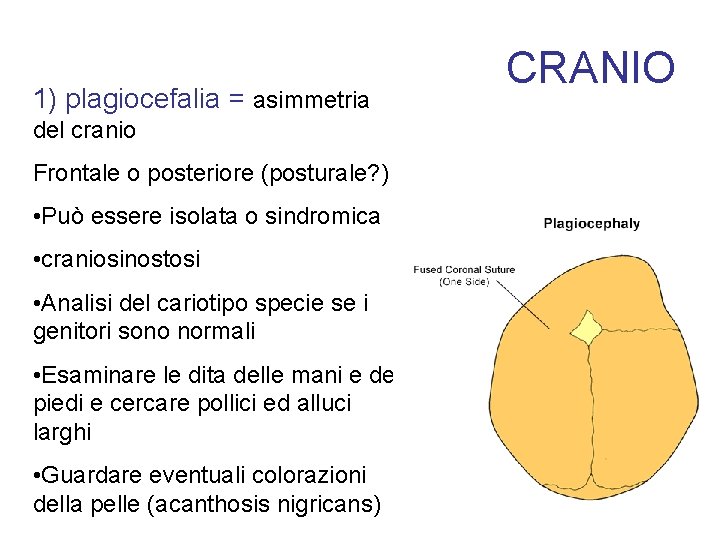 1) plagiocefalia = asimmetria del cranio Frontale o posteriore (posturale? ) • Può essere