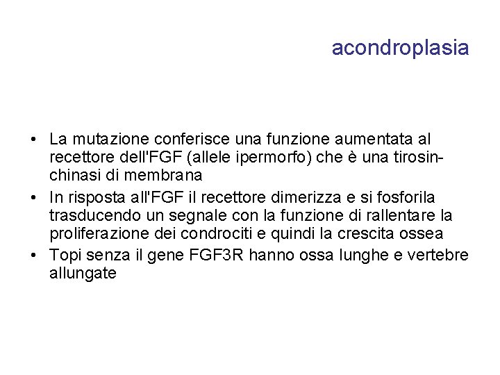 acondroplasia • La mutazione conferisce una funzione aumentata al recettore dell'FGF (allele ipermorfo) che