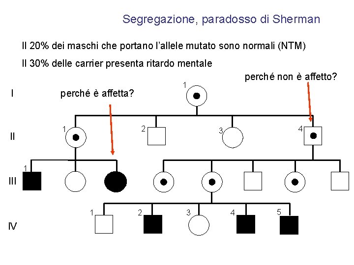 Segregazione, paradosso di Sherman Il 20% dei maschi che portano l’allele mutato sono normali